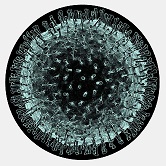 Coronavirus image Coronavirus image